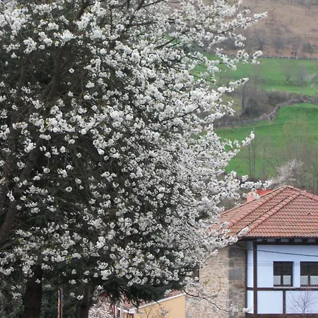 Xabu Hotel 3*